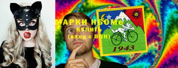 мдпв Вяземский